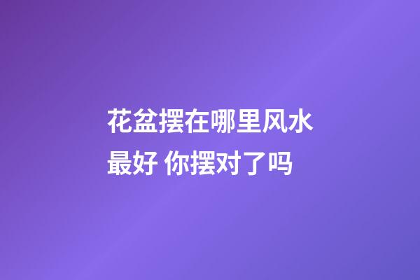 花盆摆在哪里风水最好 你摆对了吗